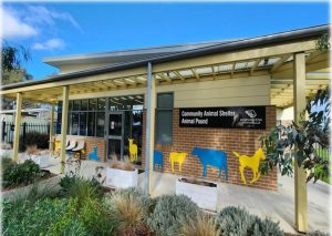 Public sector engineering services supporting environmentally sustainable animal care facilities.
